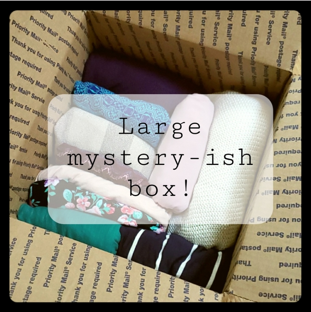 ❗SALE❗ (Sort of) mystery box of size L tops